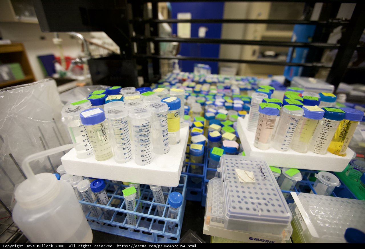 Inside a Biotech Laboratory