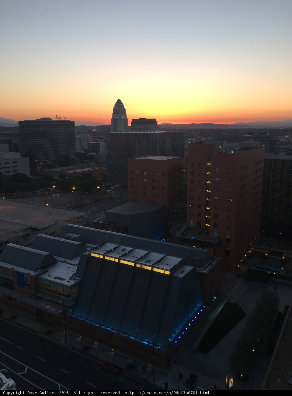 Sunset over the Urban Jungle