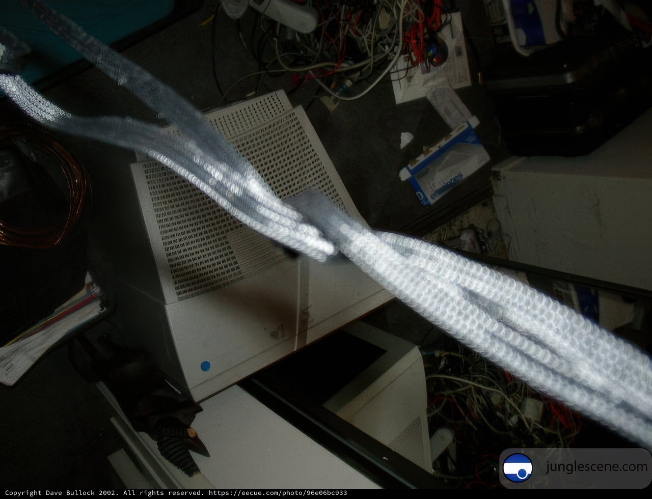 Tangled Up in Tech