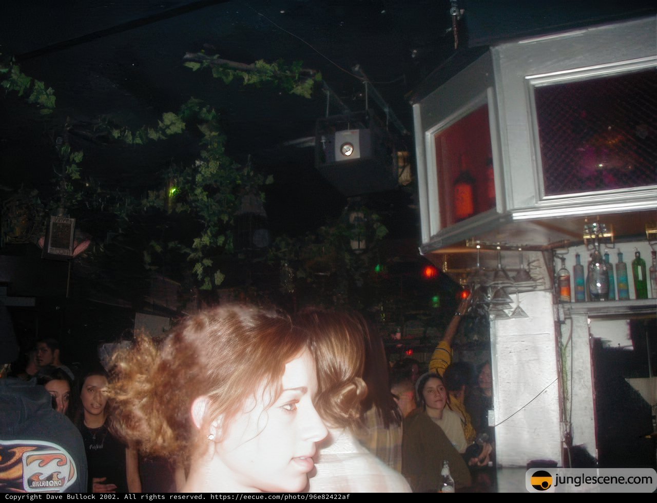 Nightclub Vibes