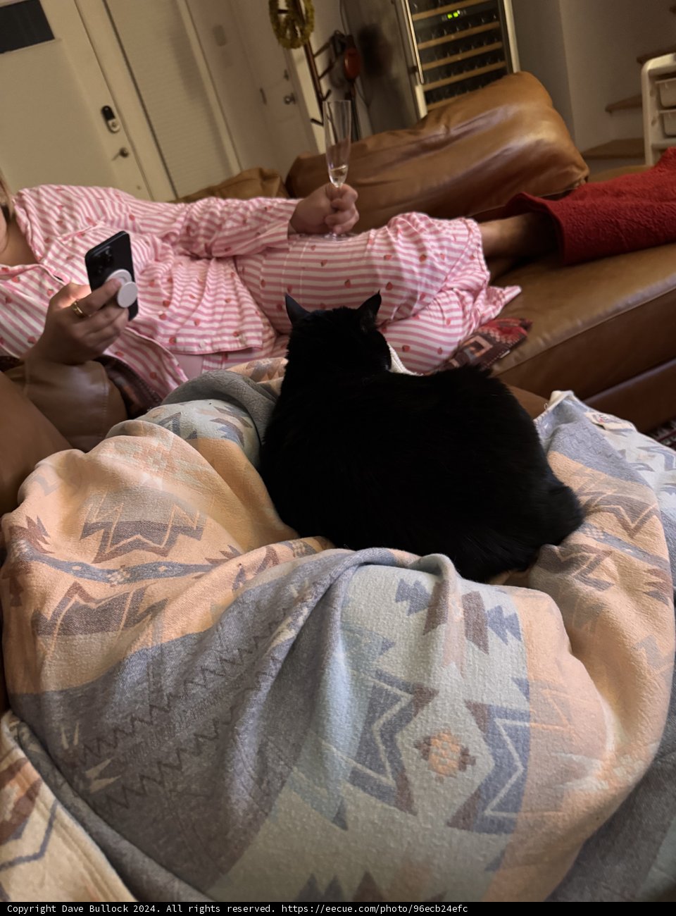 Cozy Evenings at Home