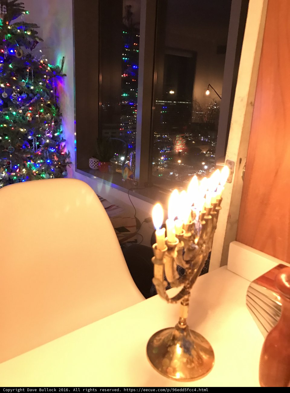 Festival of Lights and Trees