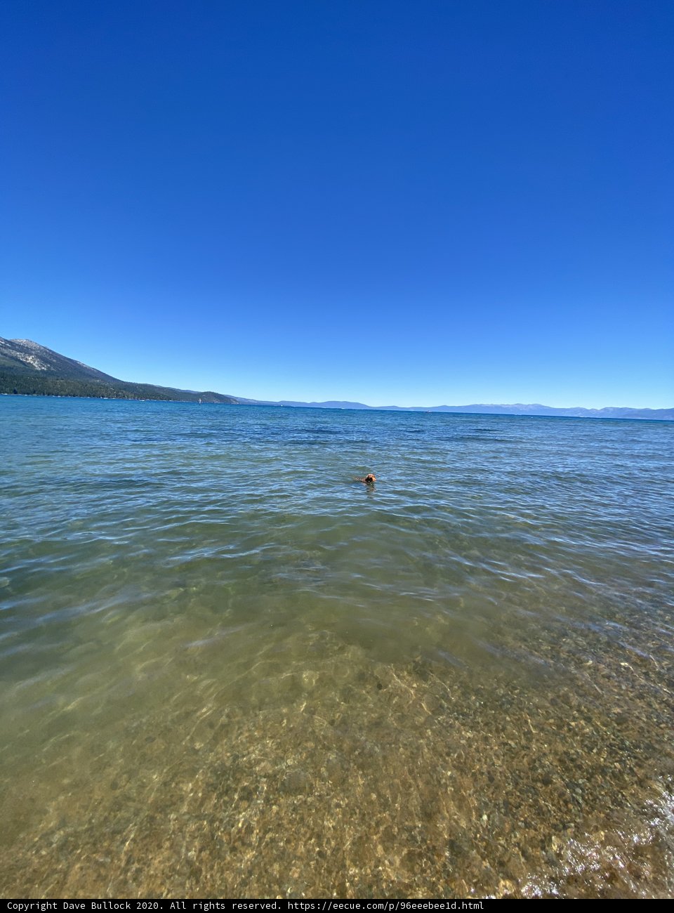 Leisurely Swim at Kiva Beach