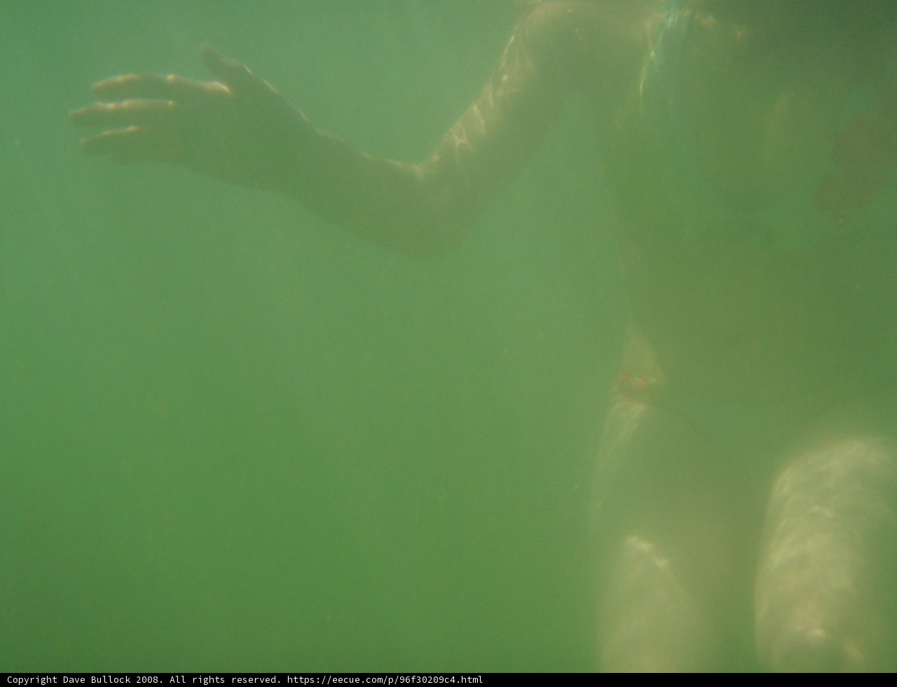 Dive into the Oasis