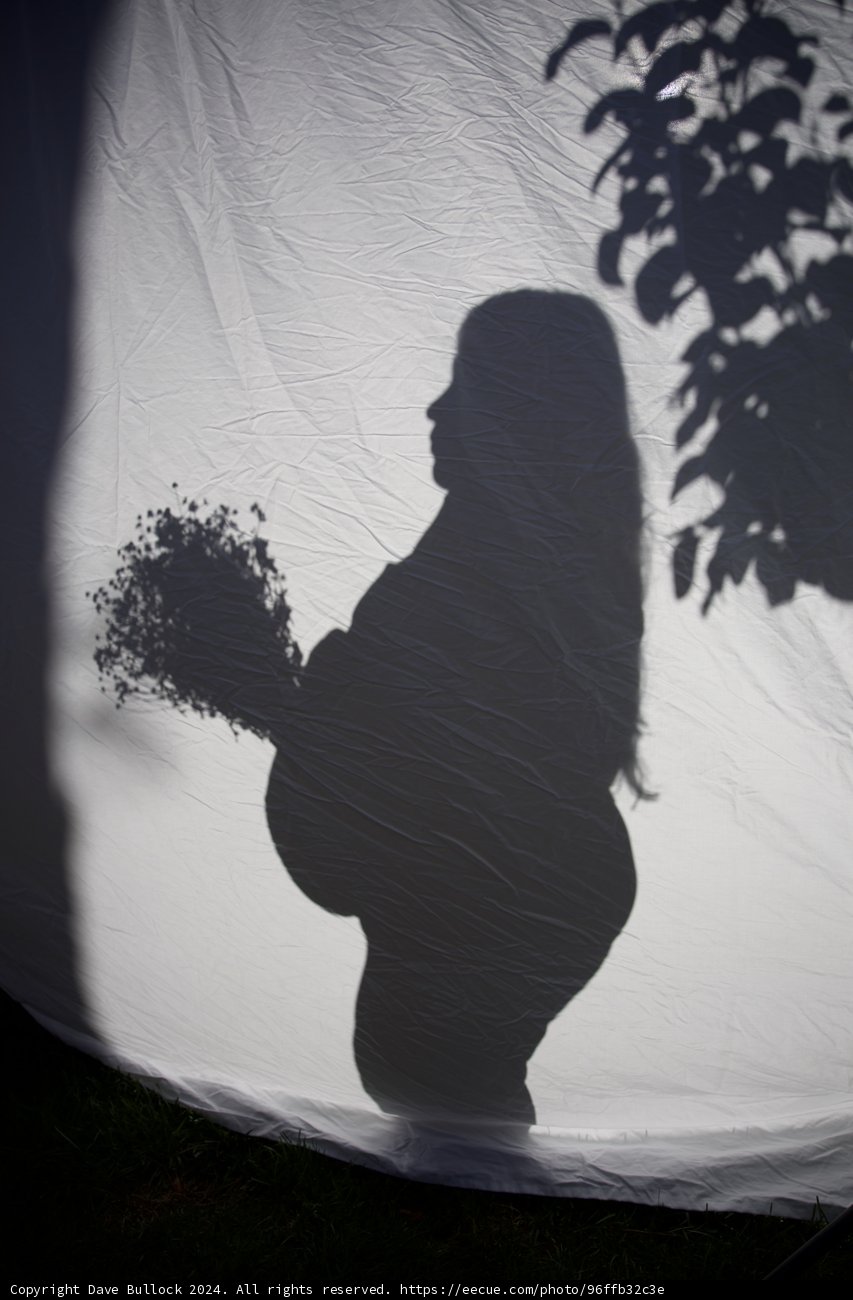 Awaiting Leland: A Silhouette of Joy