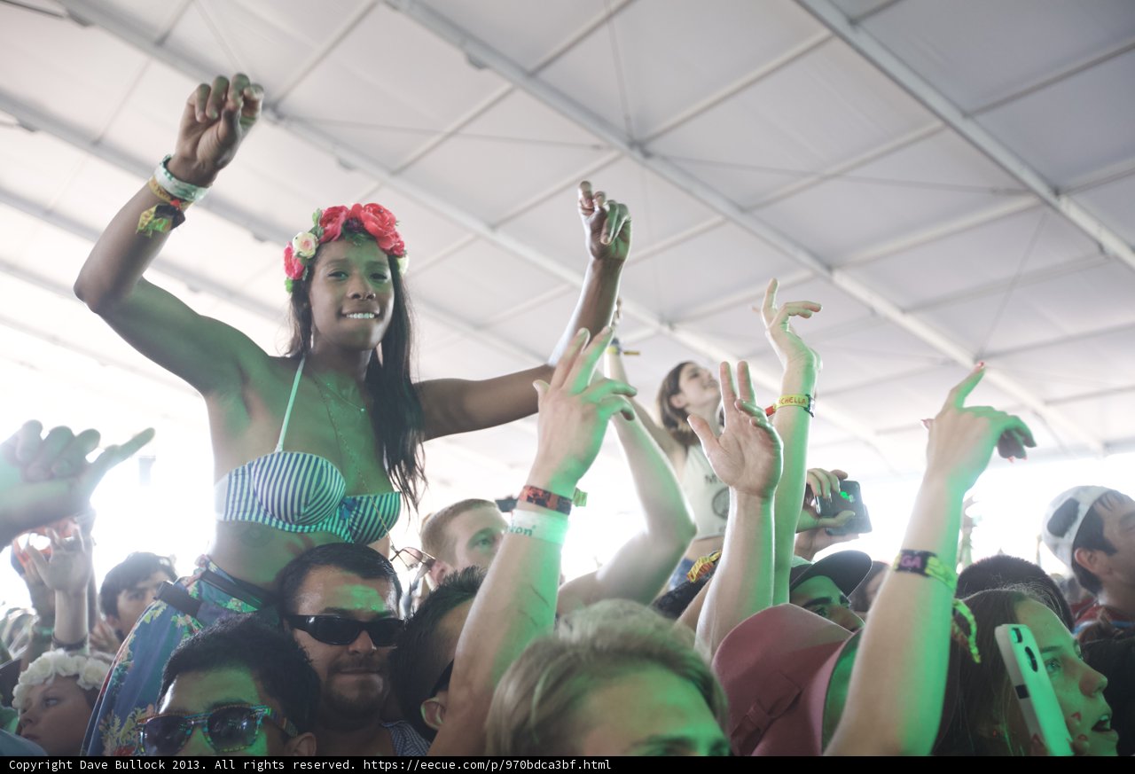Celebrating with the Crowd at Coachella