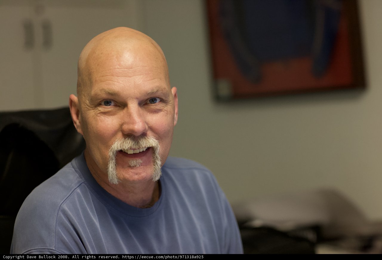 Smiling Bald Man with a Mustache