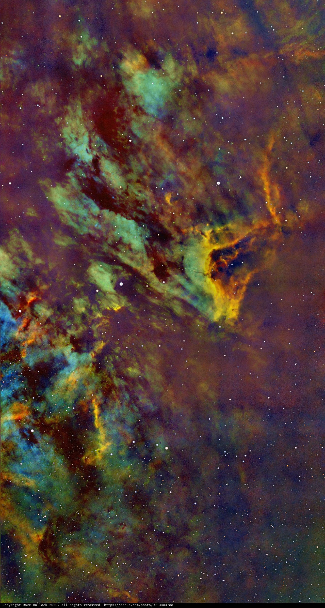 IC 5070 Pelican Nebula in Narrowband SHO Palette