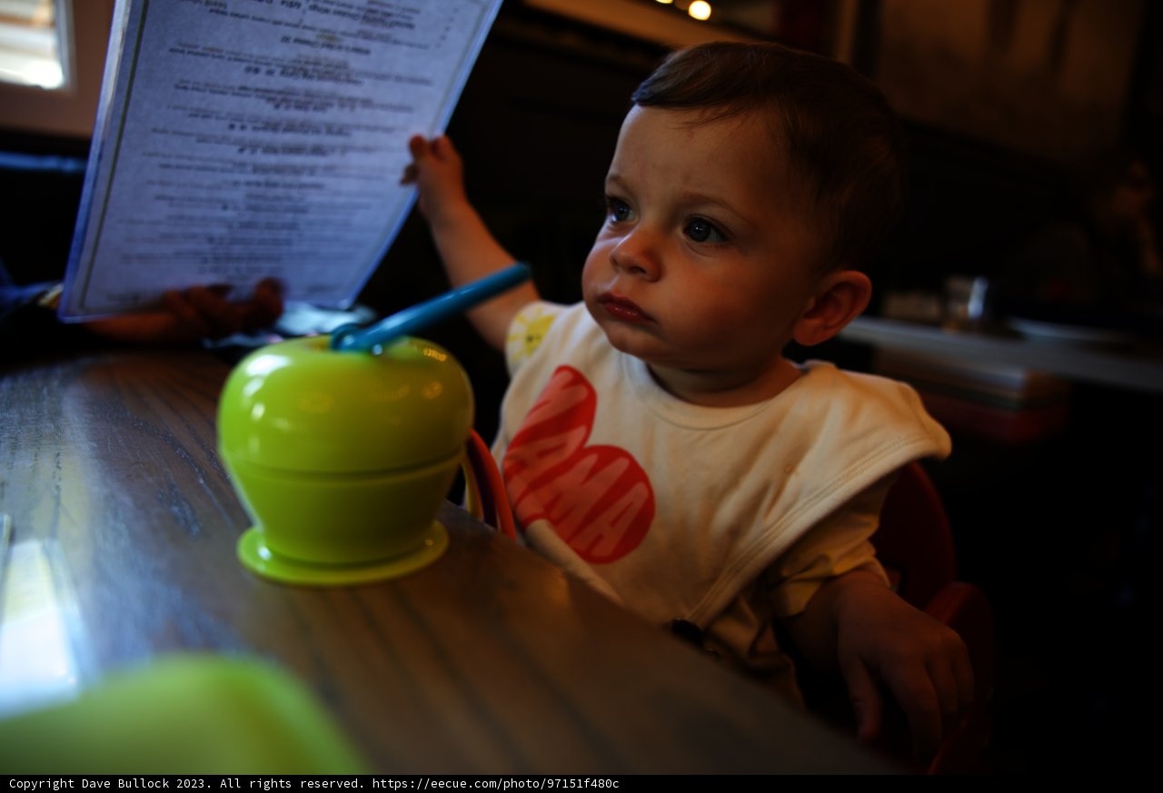 Baby's First Menu Adventure