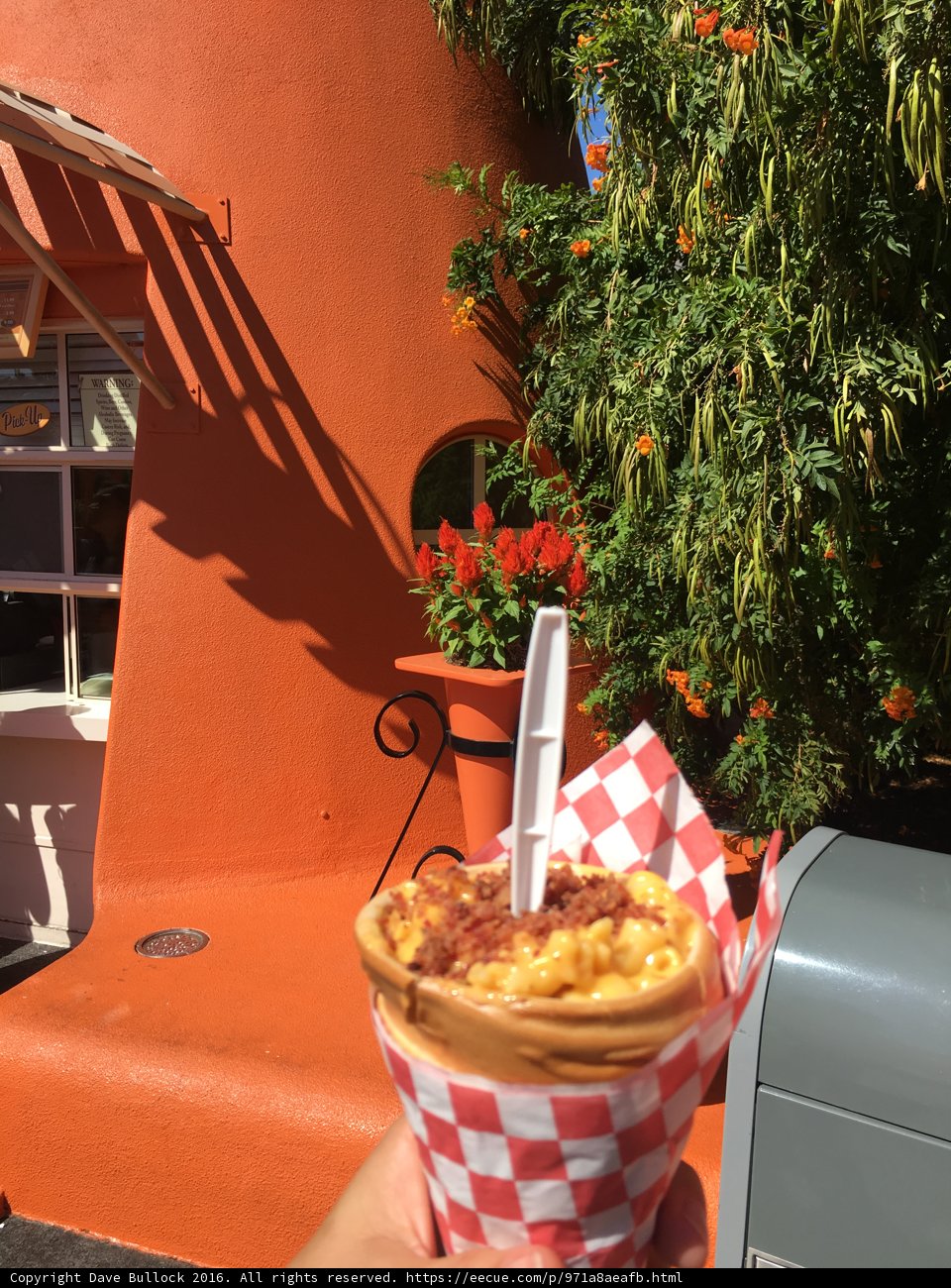 Enjoying Mac and Cheese in the Summer at Disney California Adventure Park
