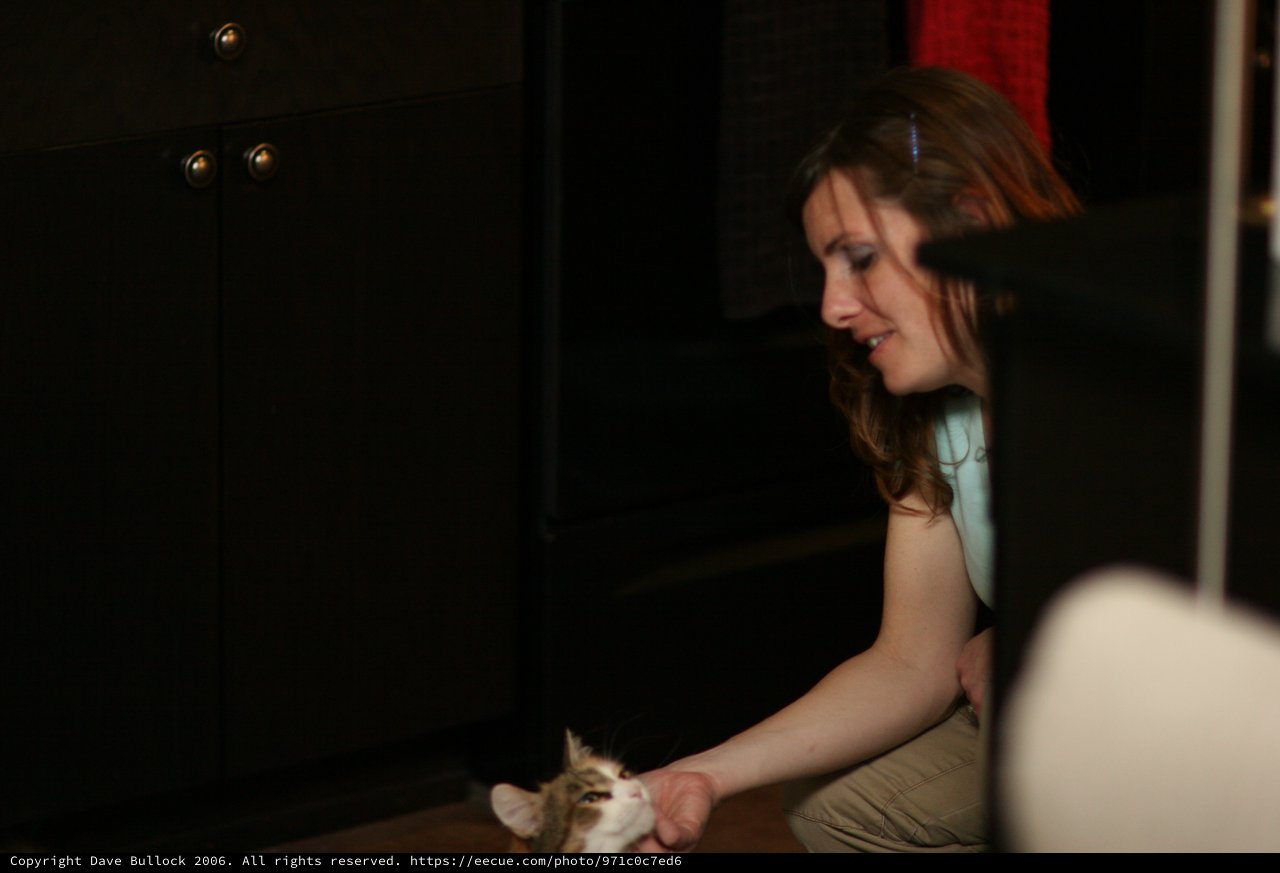 Woman Gently Playing With a Tiny Kitten Indoors