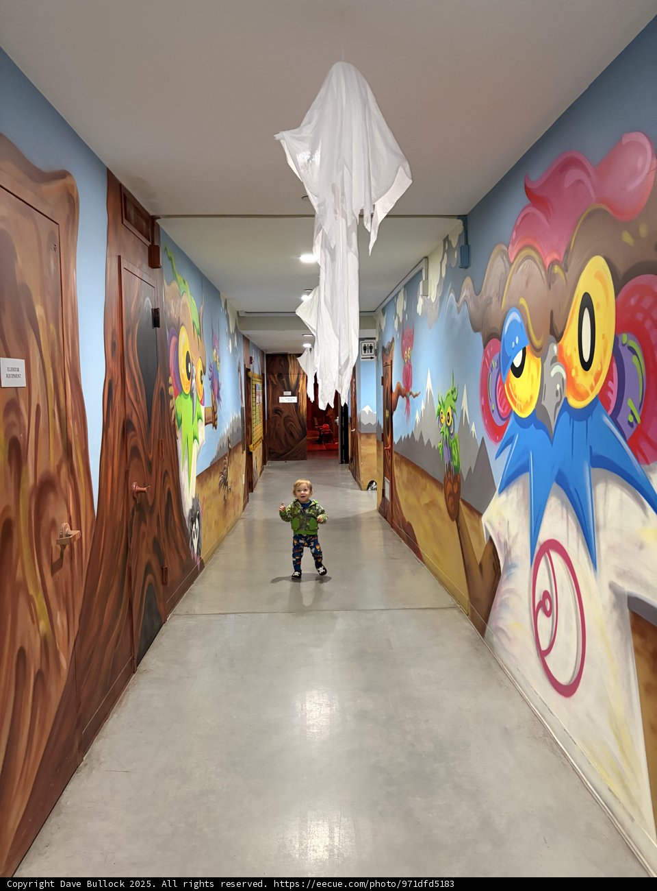 Colorful Corridor at Lindsay Wildlife Experience