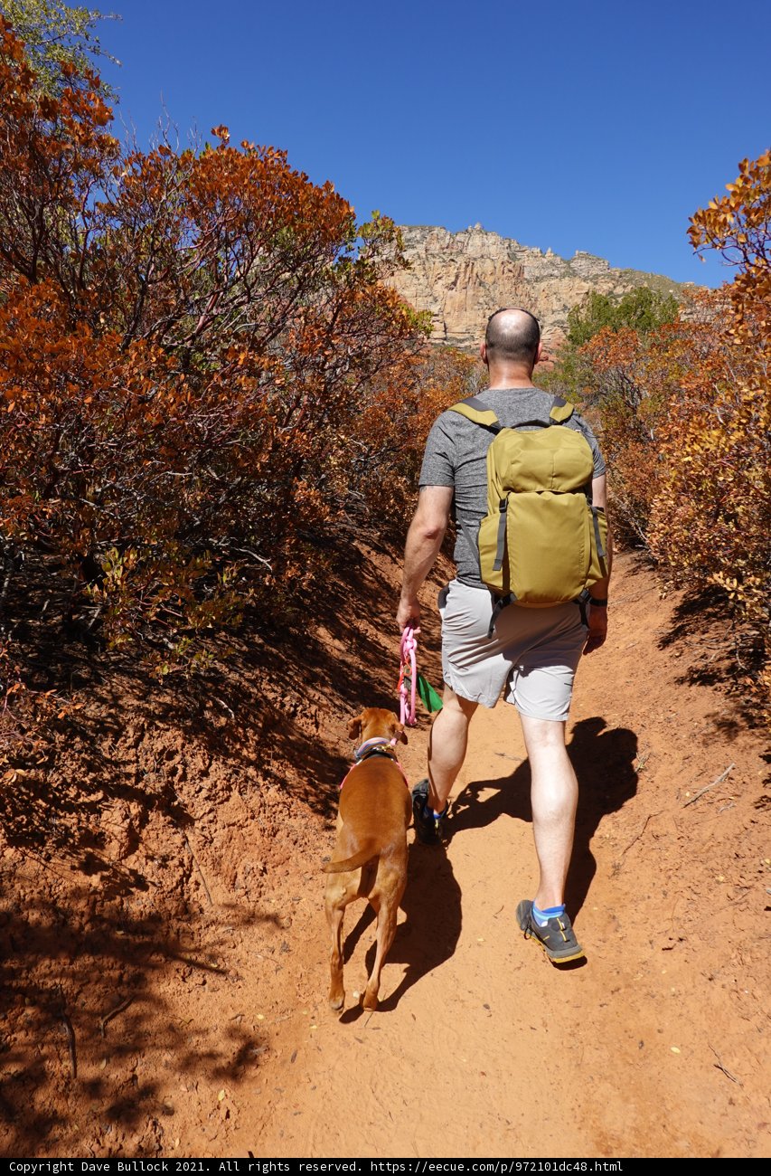 Hiking with His Furry Companion