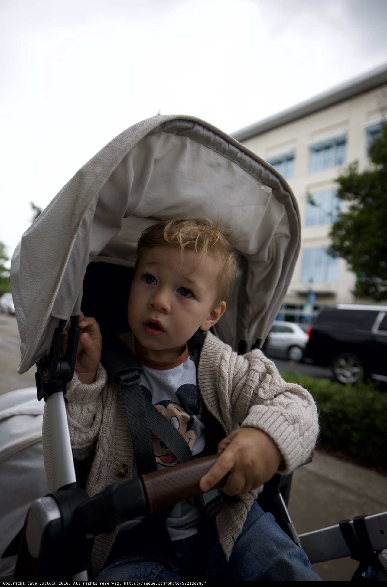 Curious Toddler in Stroller on Overcast Day