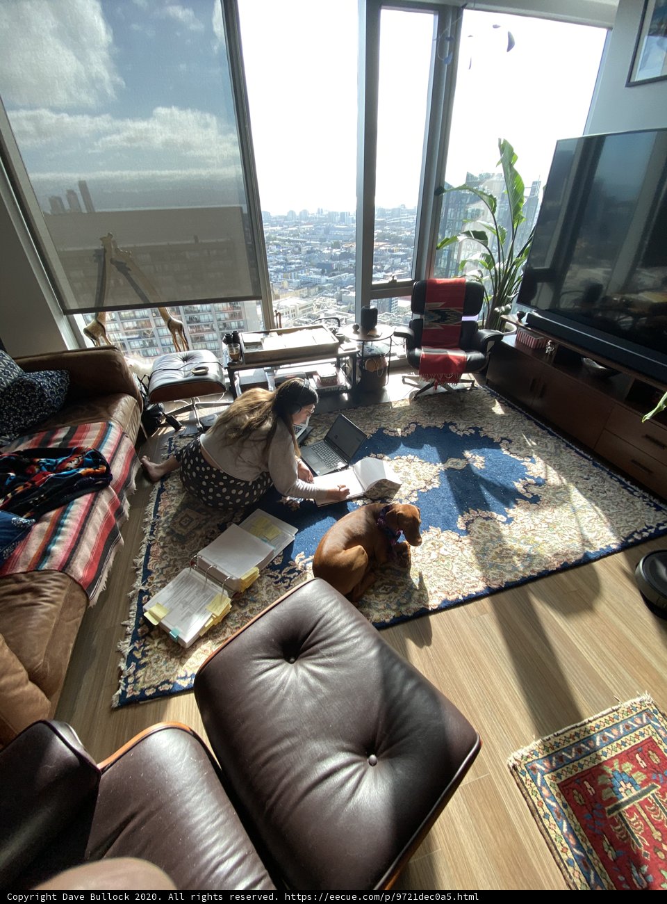 Relaxing with my Furry Friend