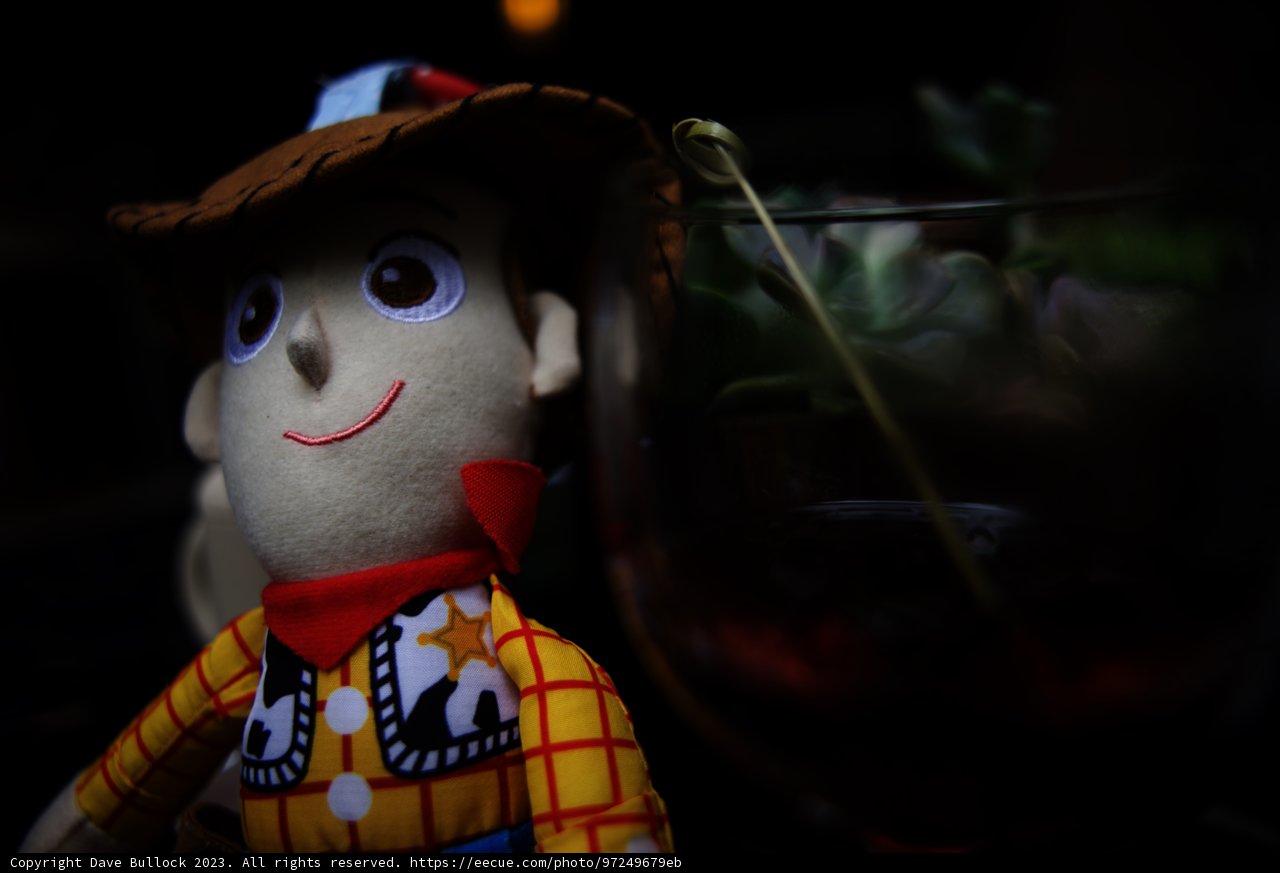 Woody's Chillin' Adventure