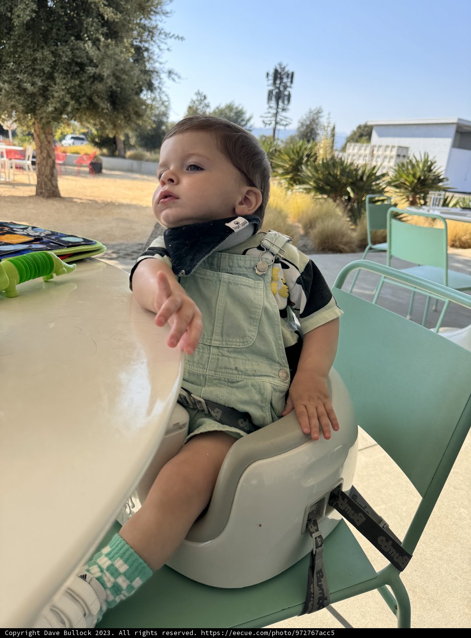 A Sunny Playtime: Baby Wesley's Outdoor Adventure