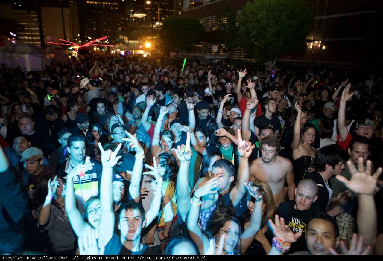 Nocturnal Crowd