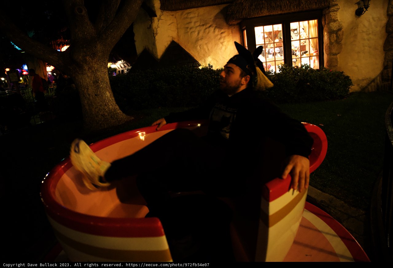Magical Adventures at Disneyland