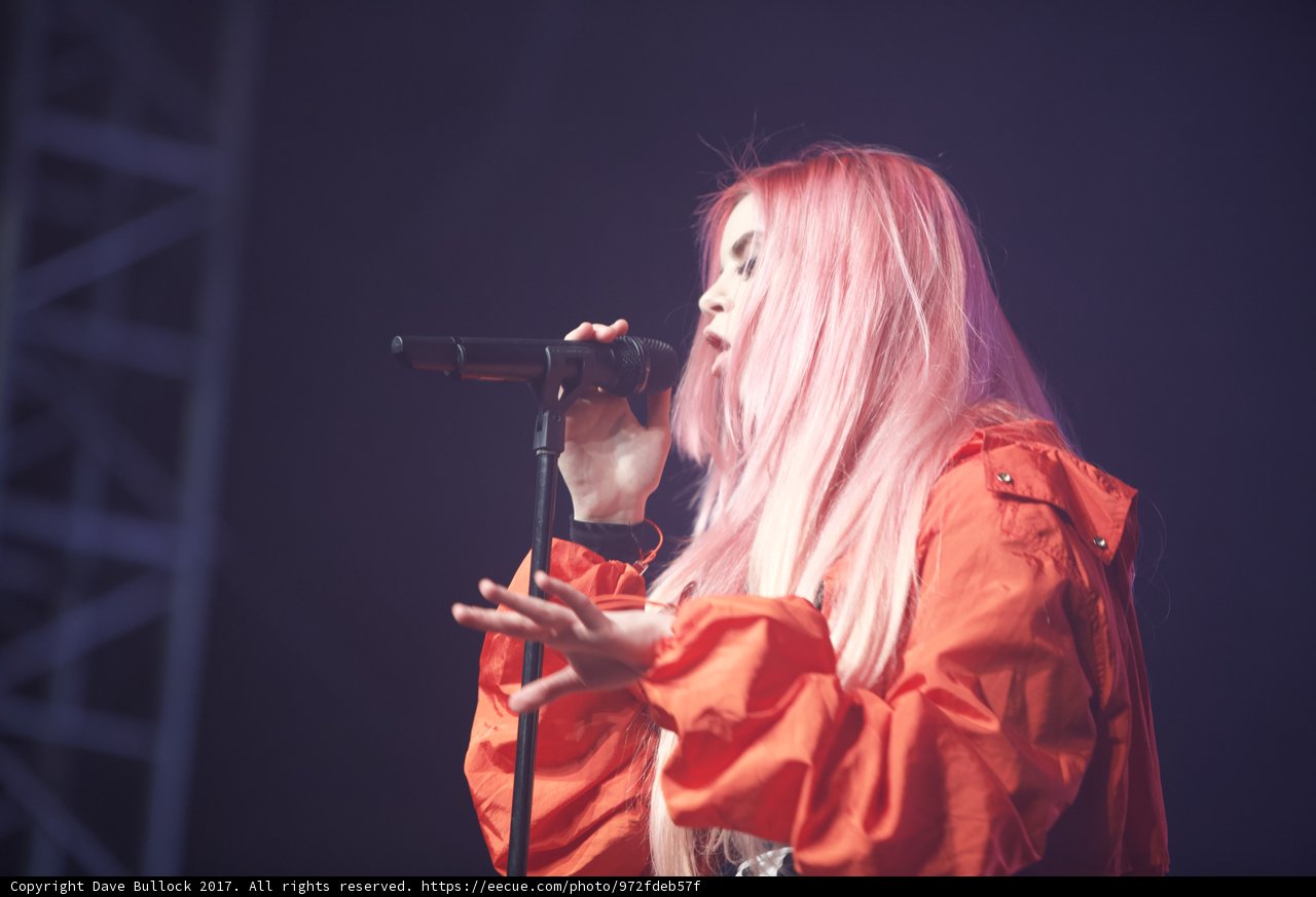Pink-haired Performer
