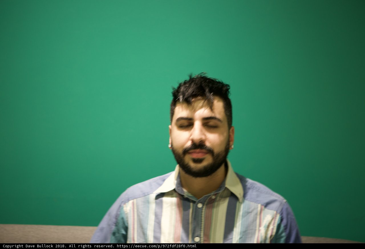 Bold and Bearded