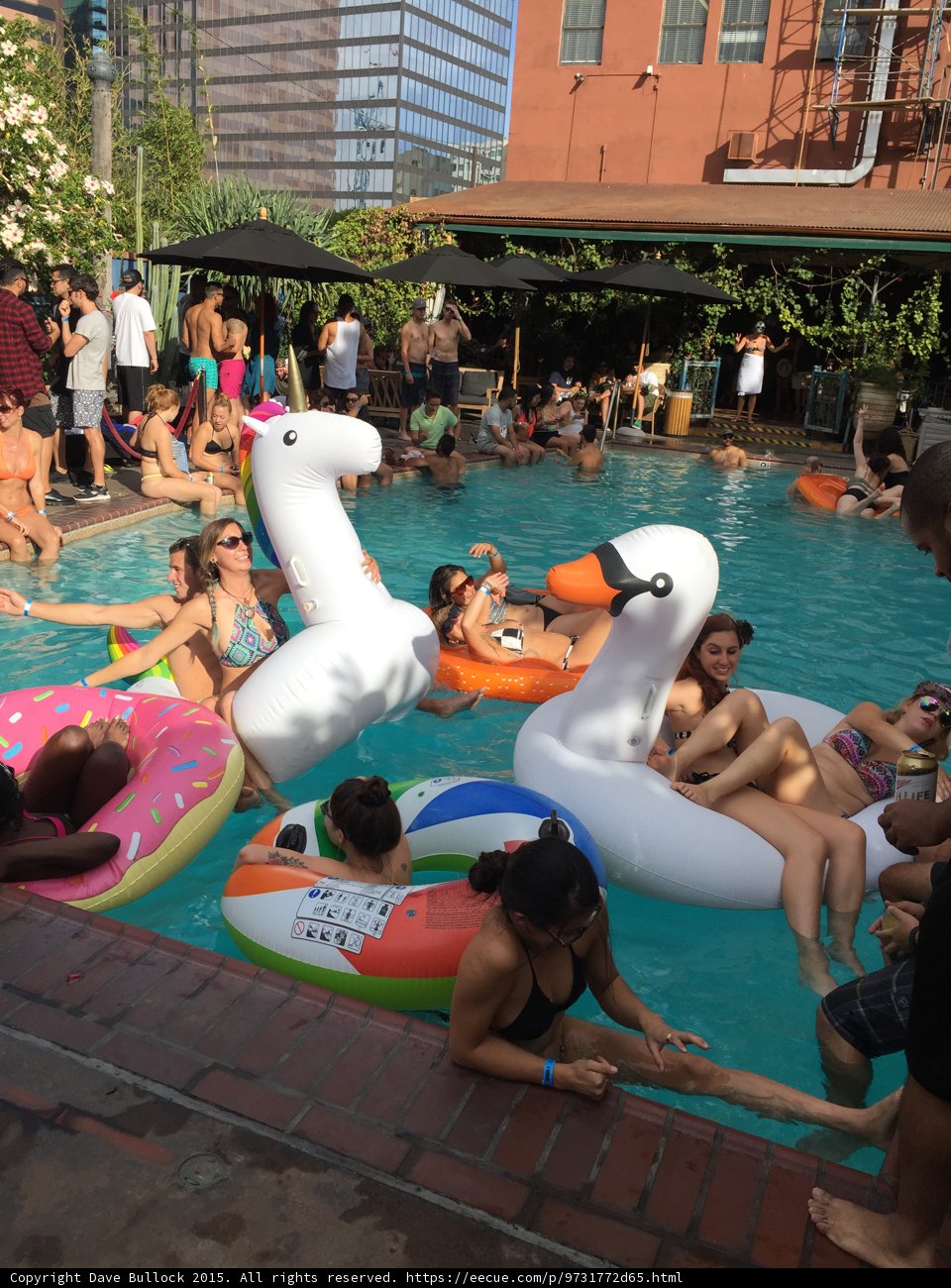 Inflatable Swans and Summer Fun at the Water Park