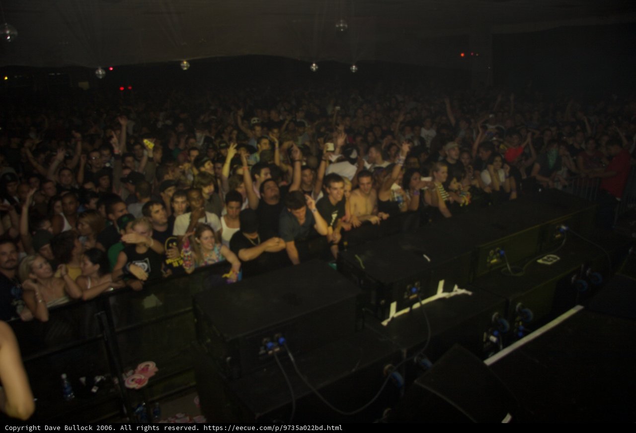 Raving with the Crowd