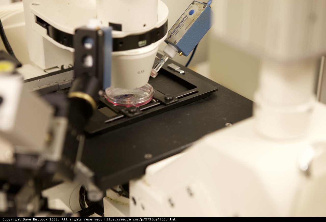 Examining the Small Object