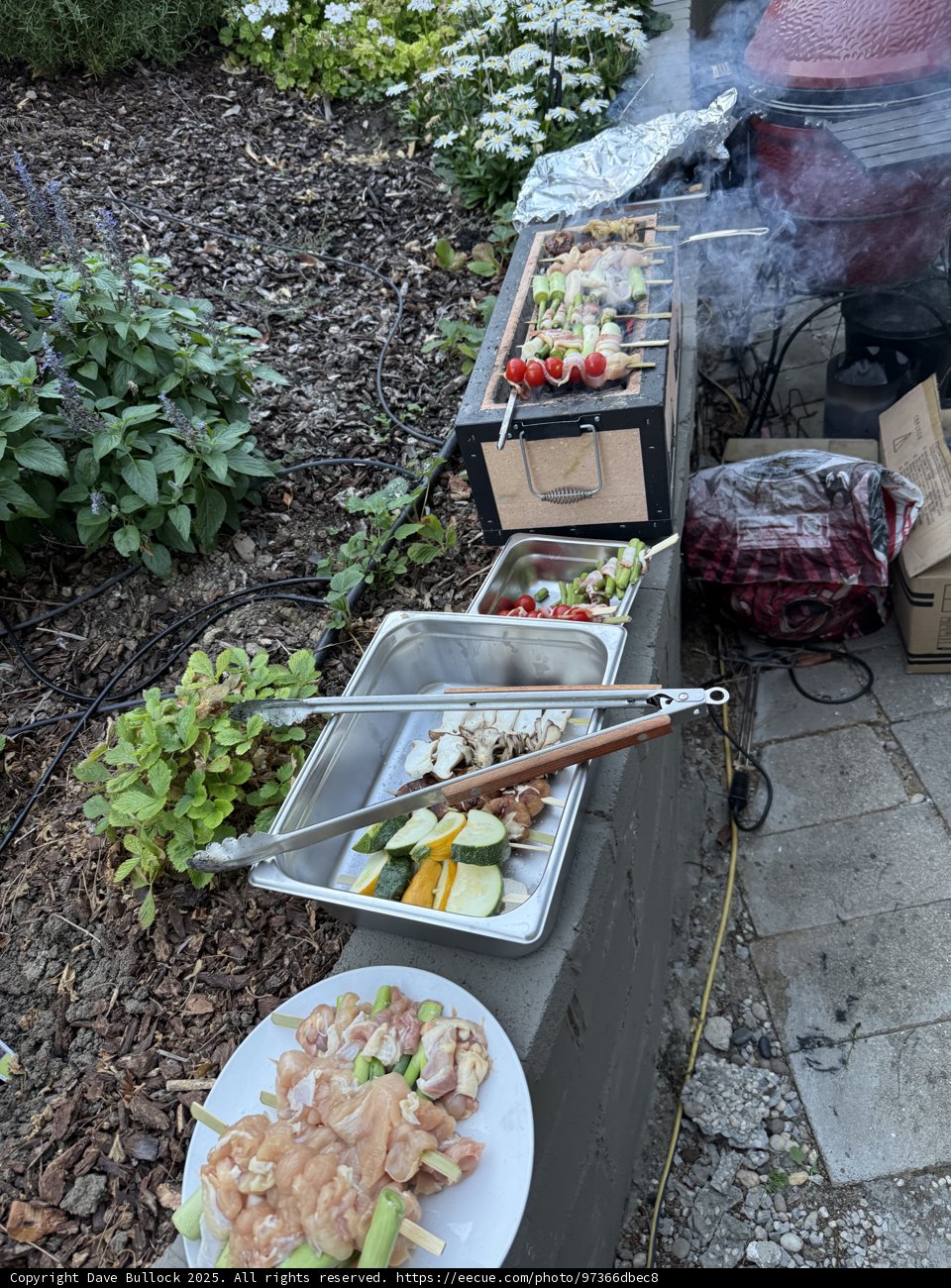 Summer BBQ Extravaganza