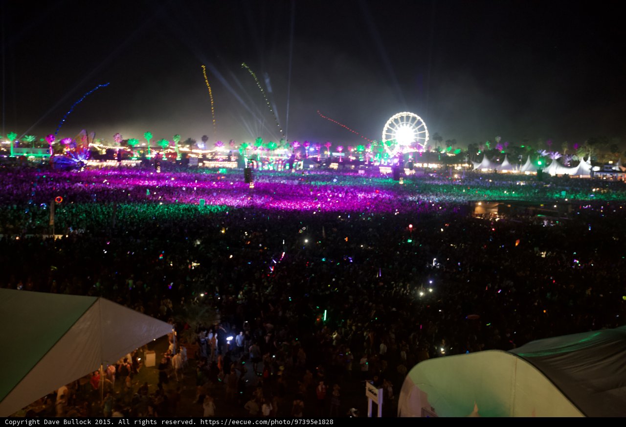 Lights, Music, and a Sea of People