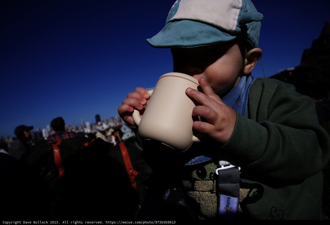 Sunny Day Sip in Alamo Square