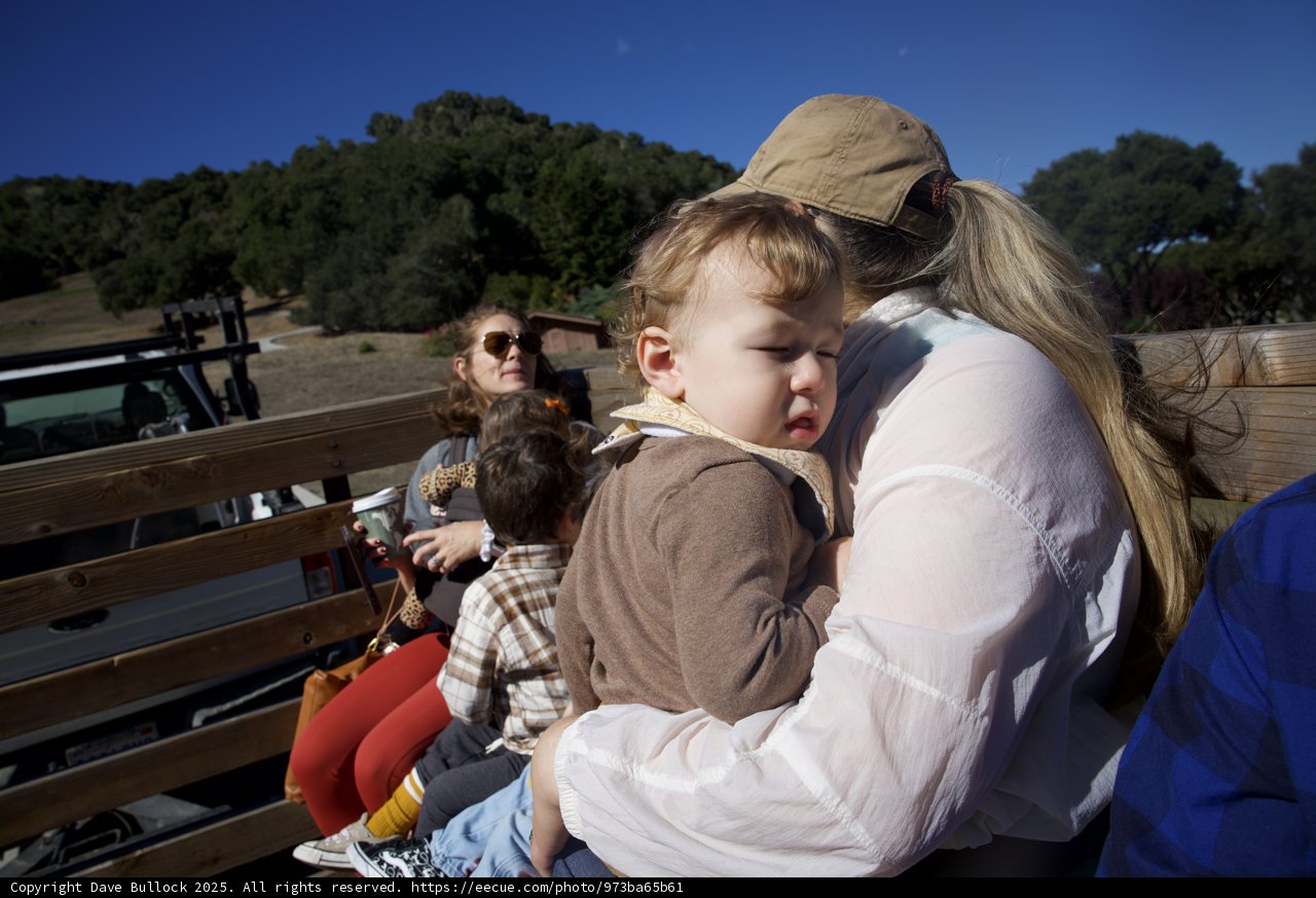 Sunny Moments at Carmel Valley Ranch