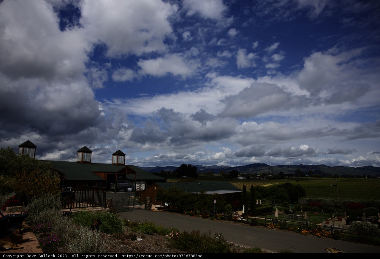 Serenity in Napa Valley