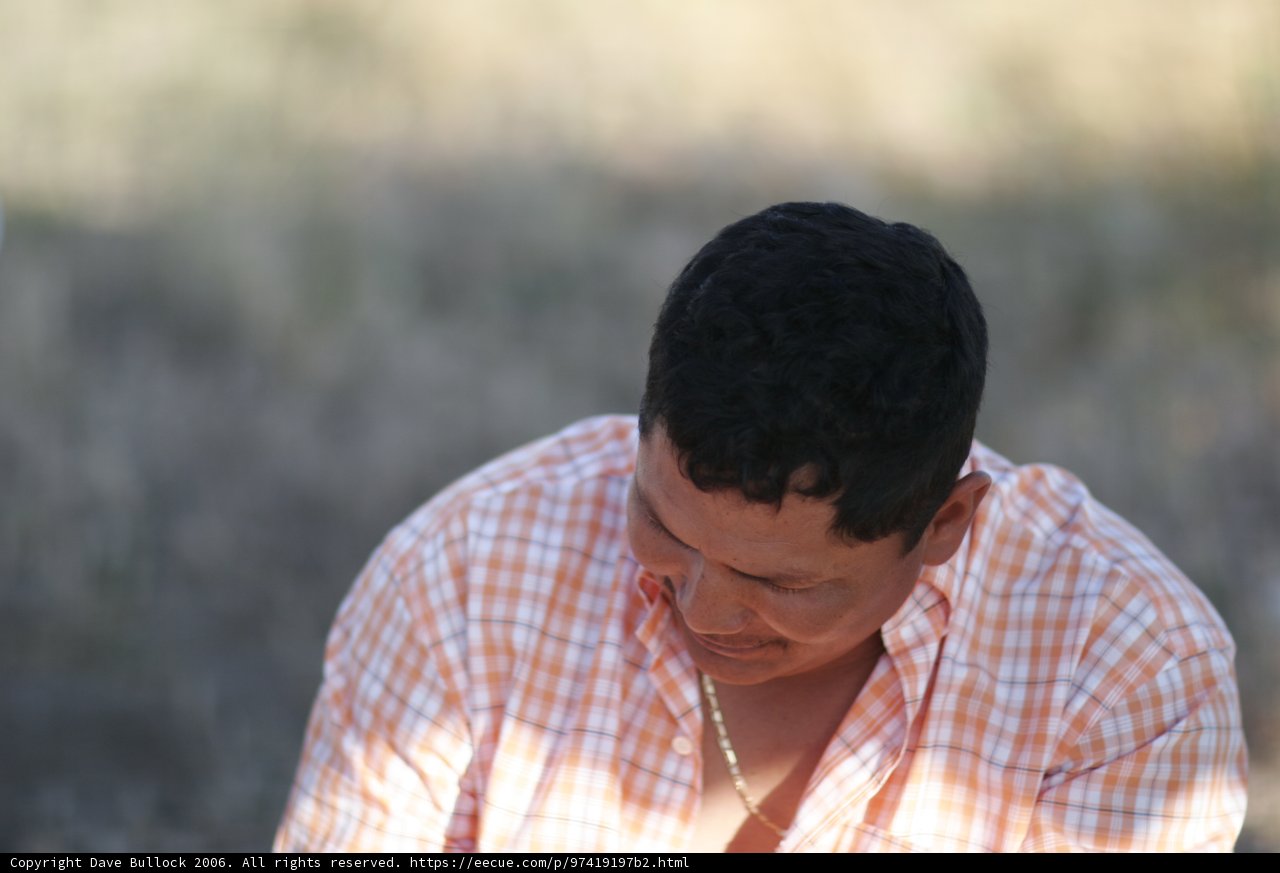 The Man in the Orange and White Checkered Shirt