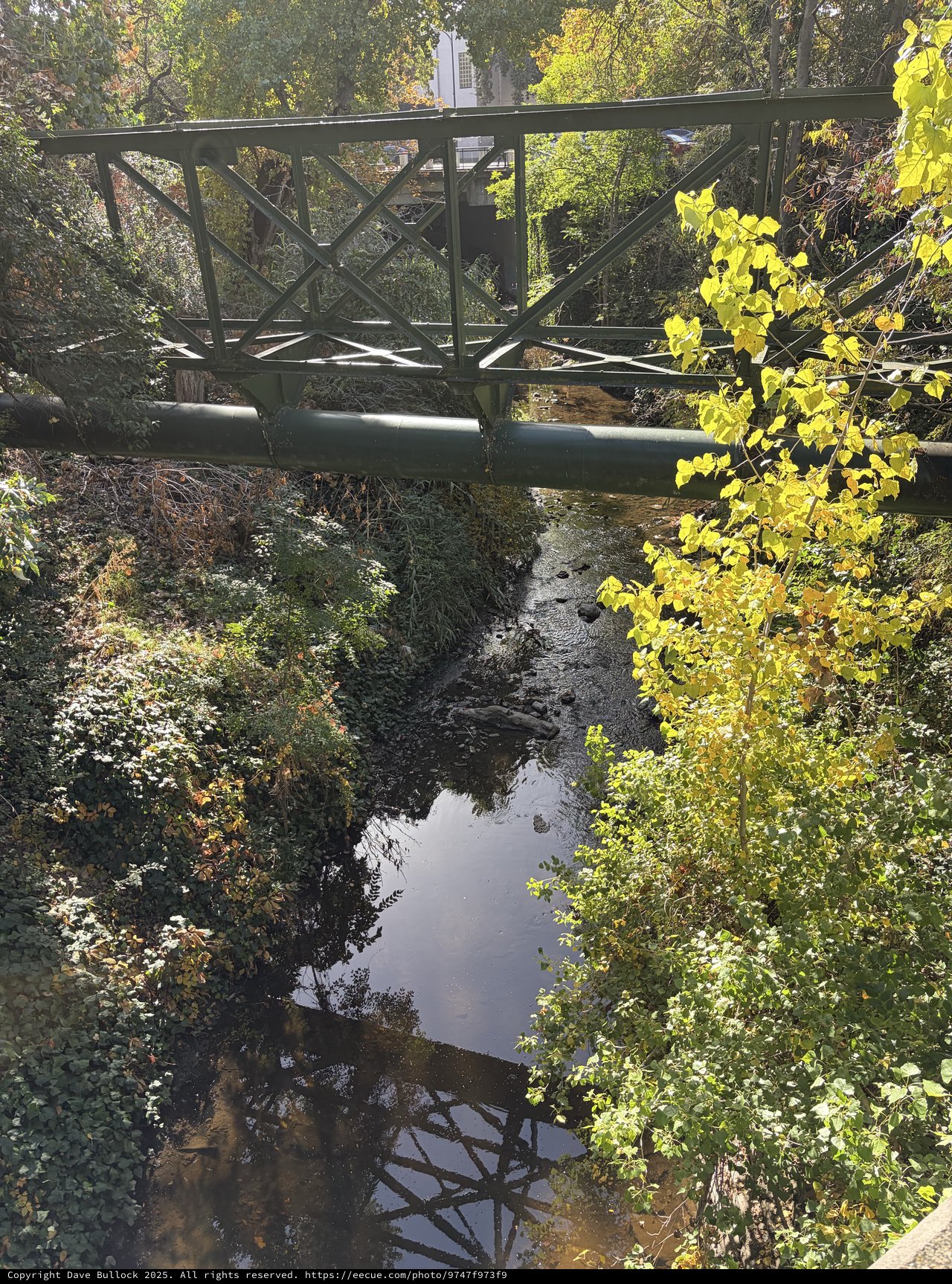 Autumn Bridge Reflection Over Creek in Urban Park