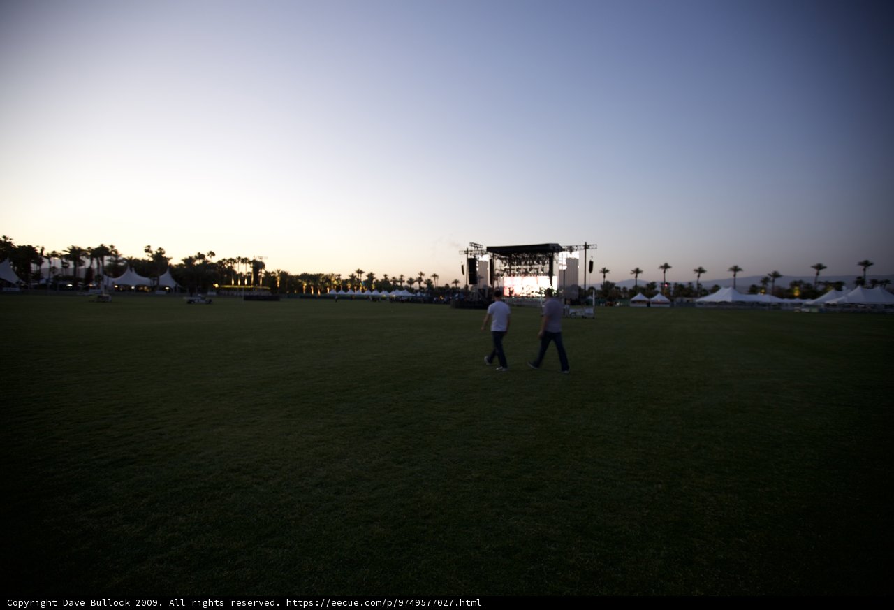 Sunset Stroll in the Grass