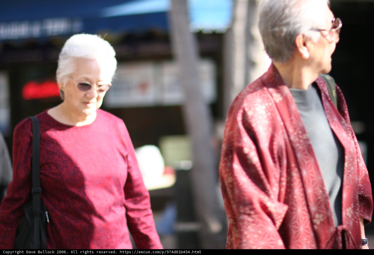 A Fashionable Stroll