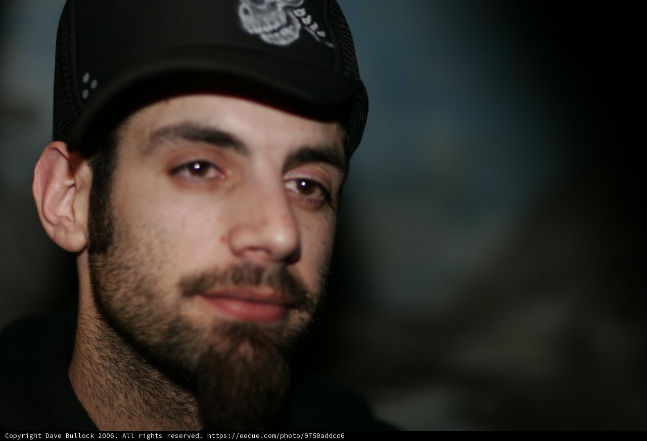 The Bearded Baseball Fan