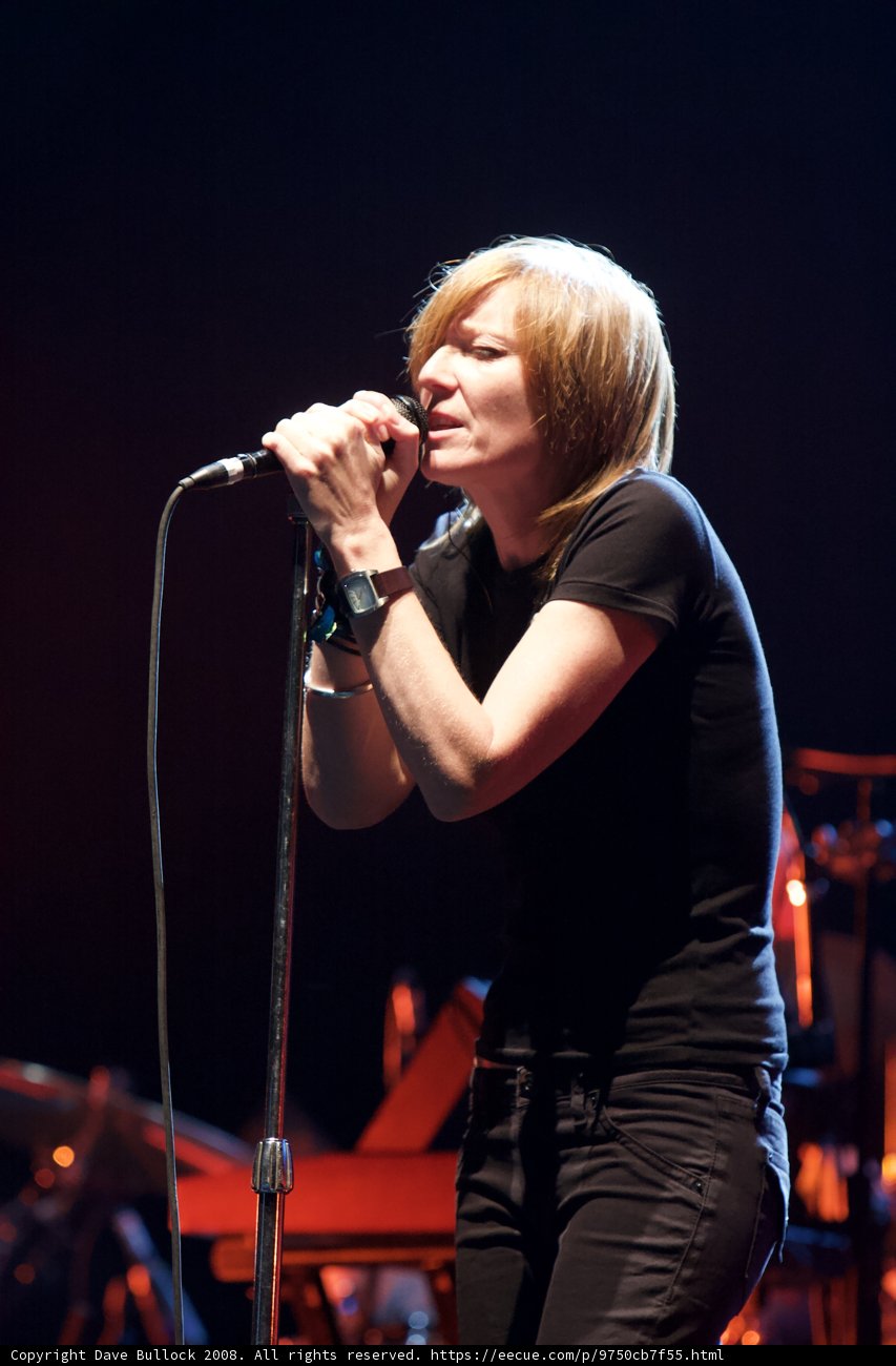 Beth Gibbons steals the show Caption: Singer Beth Gibbons electrifies the crowd with her powerful solo performance at Coachella in 2008.