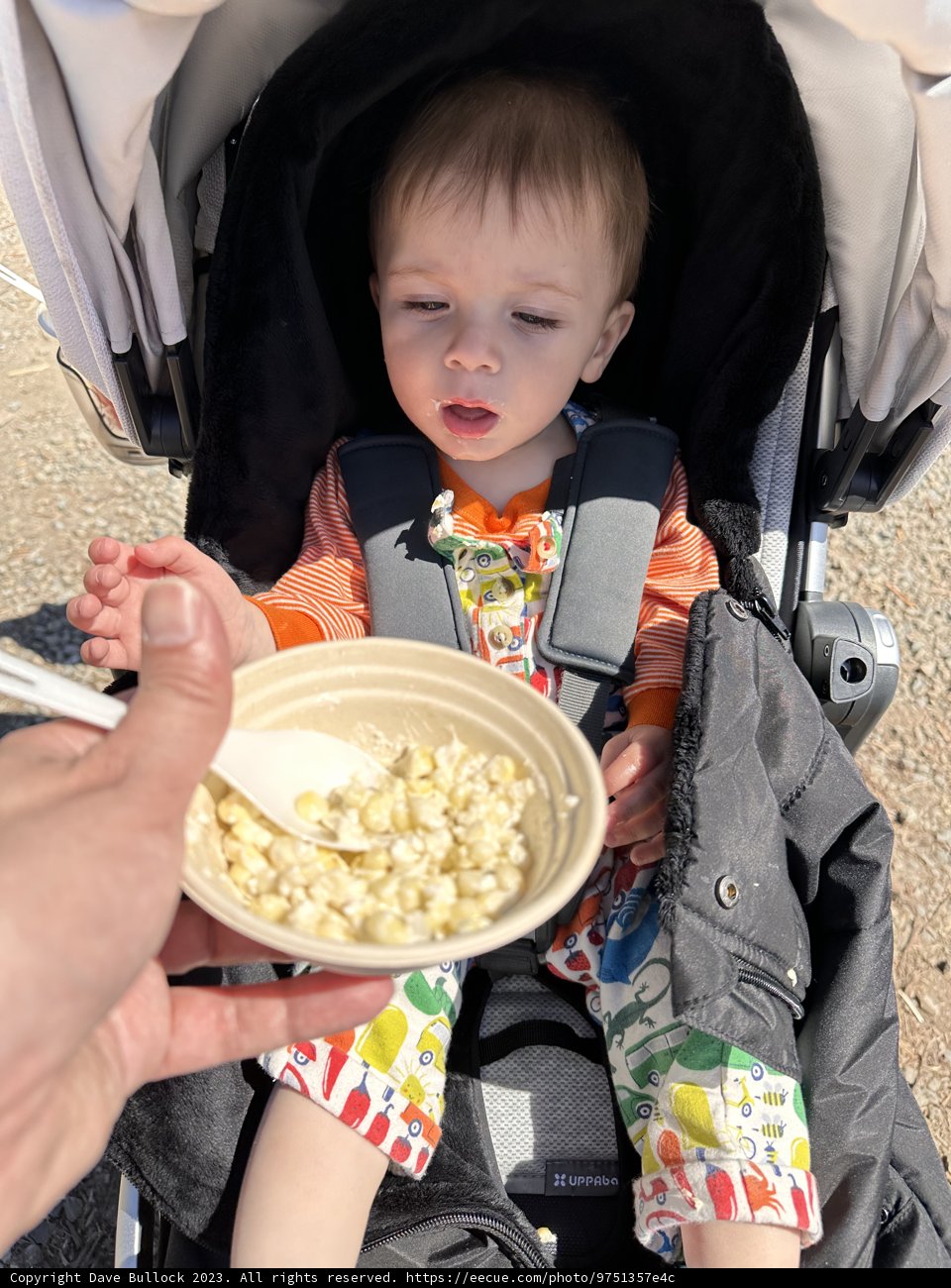 Baby's First Cereal Adventure