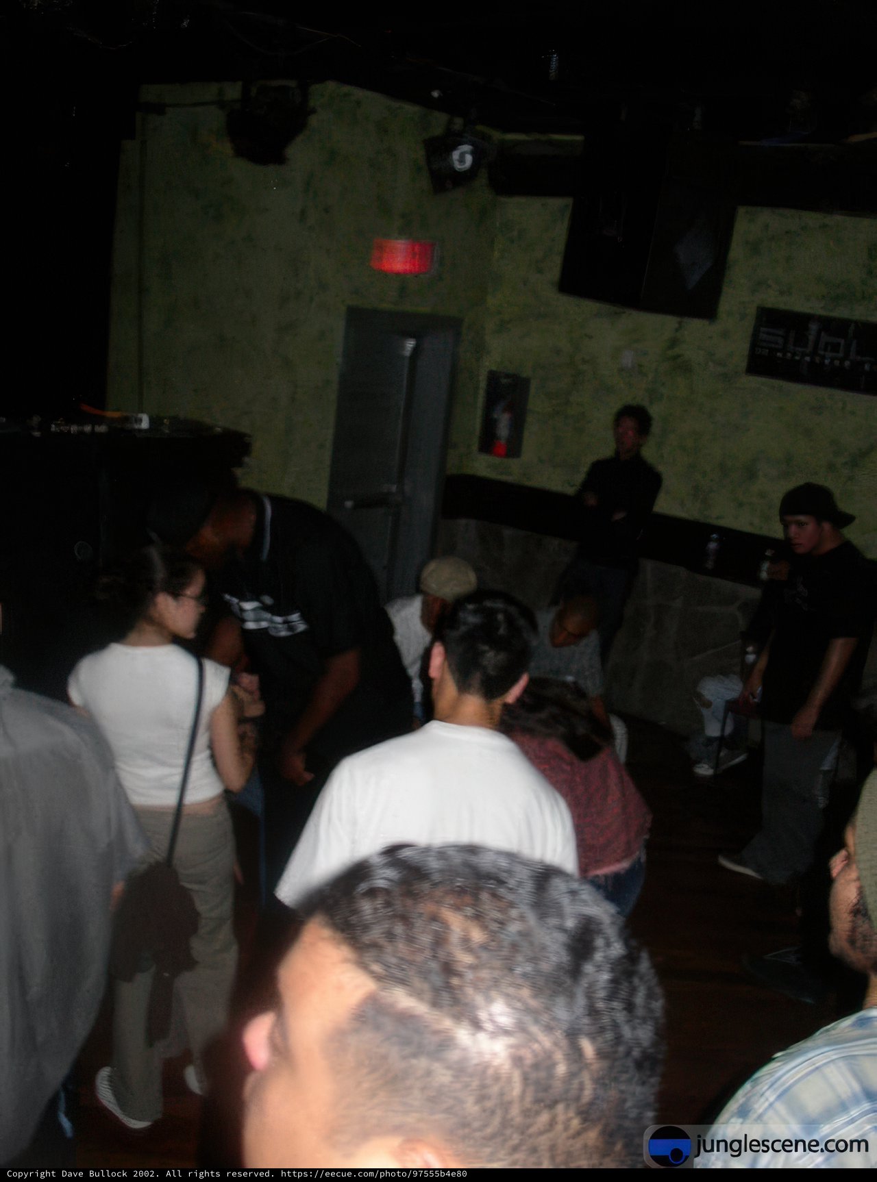 Night Club Crowd