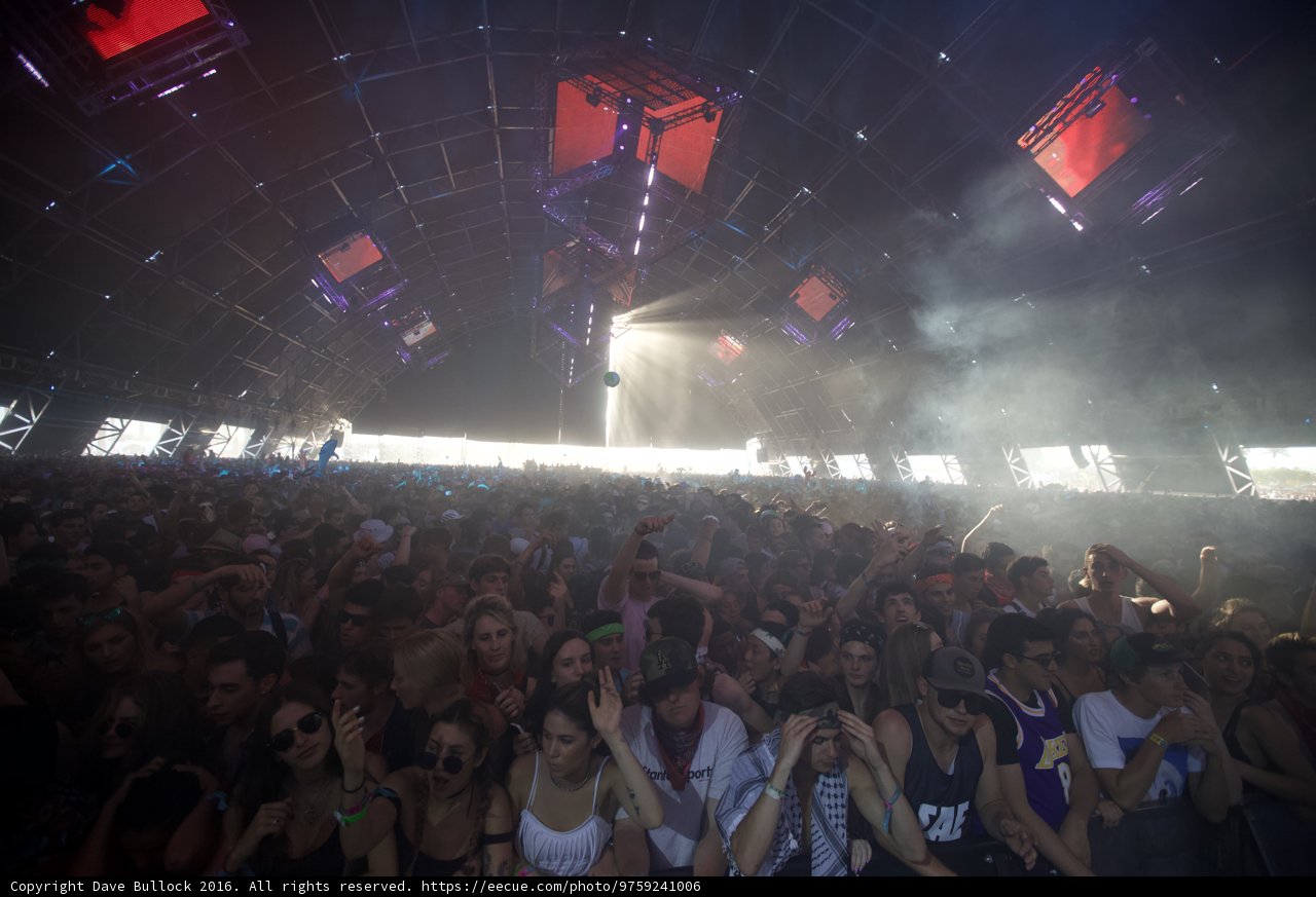 Electric Nightlife at Coachella
