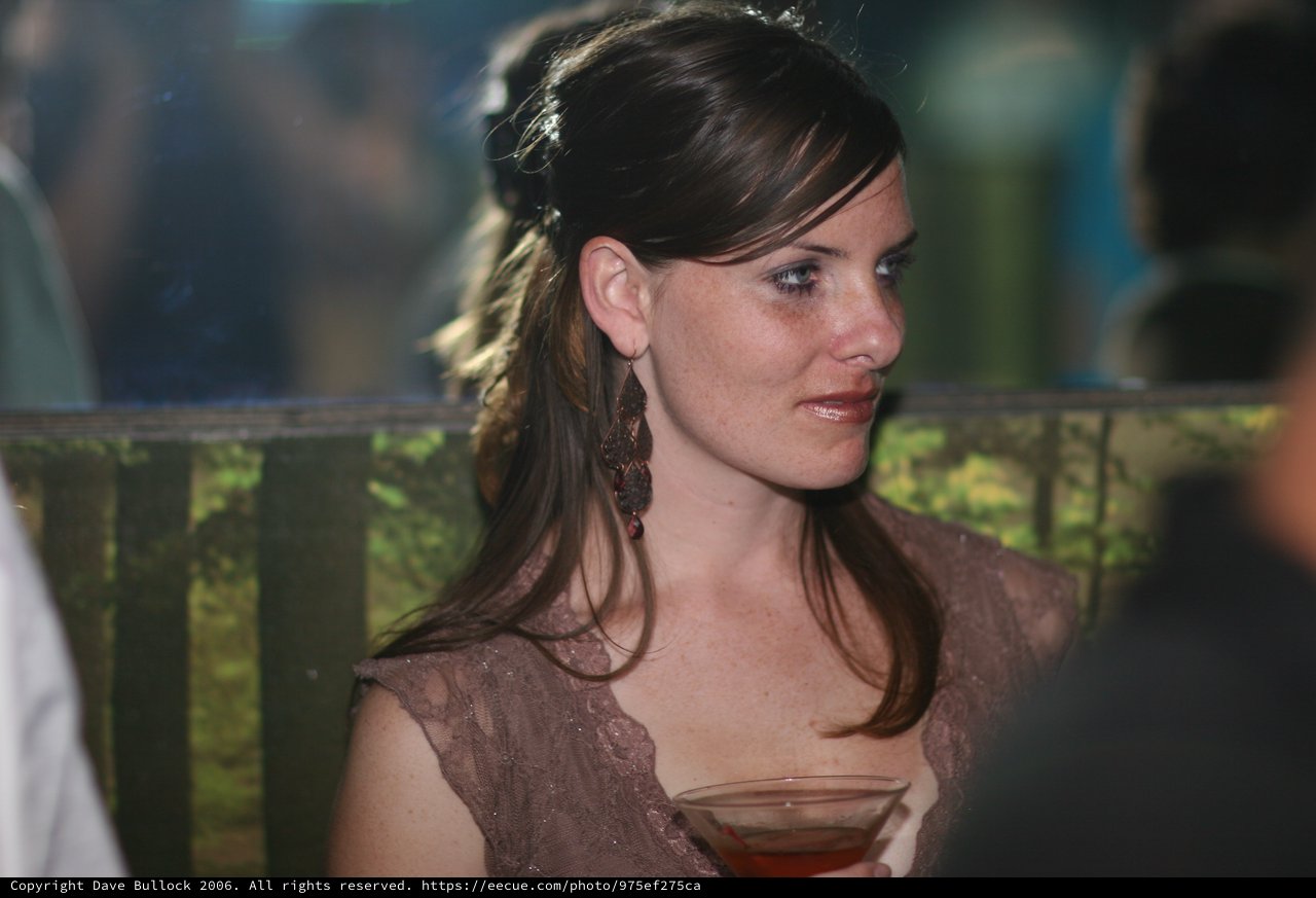 Elegant Woman at Evening Social Gathering 2006
