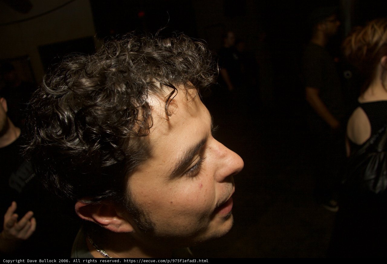 The Spotlight on a Curly-Haired Star