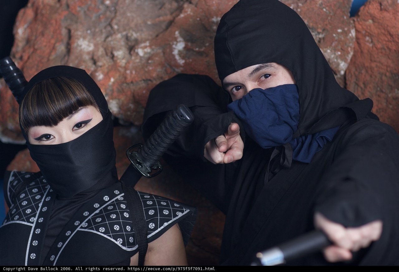 Ninja Sword Fight