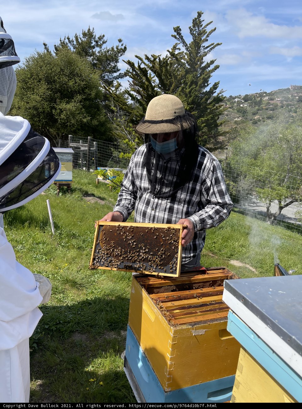 The Beekeeper