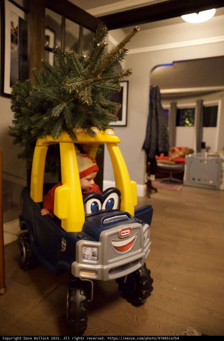 Festive Zoom: A Yuletide Adventure