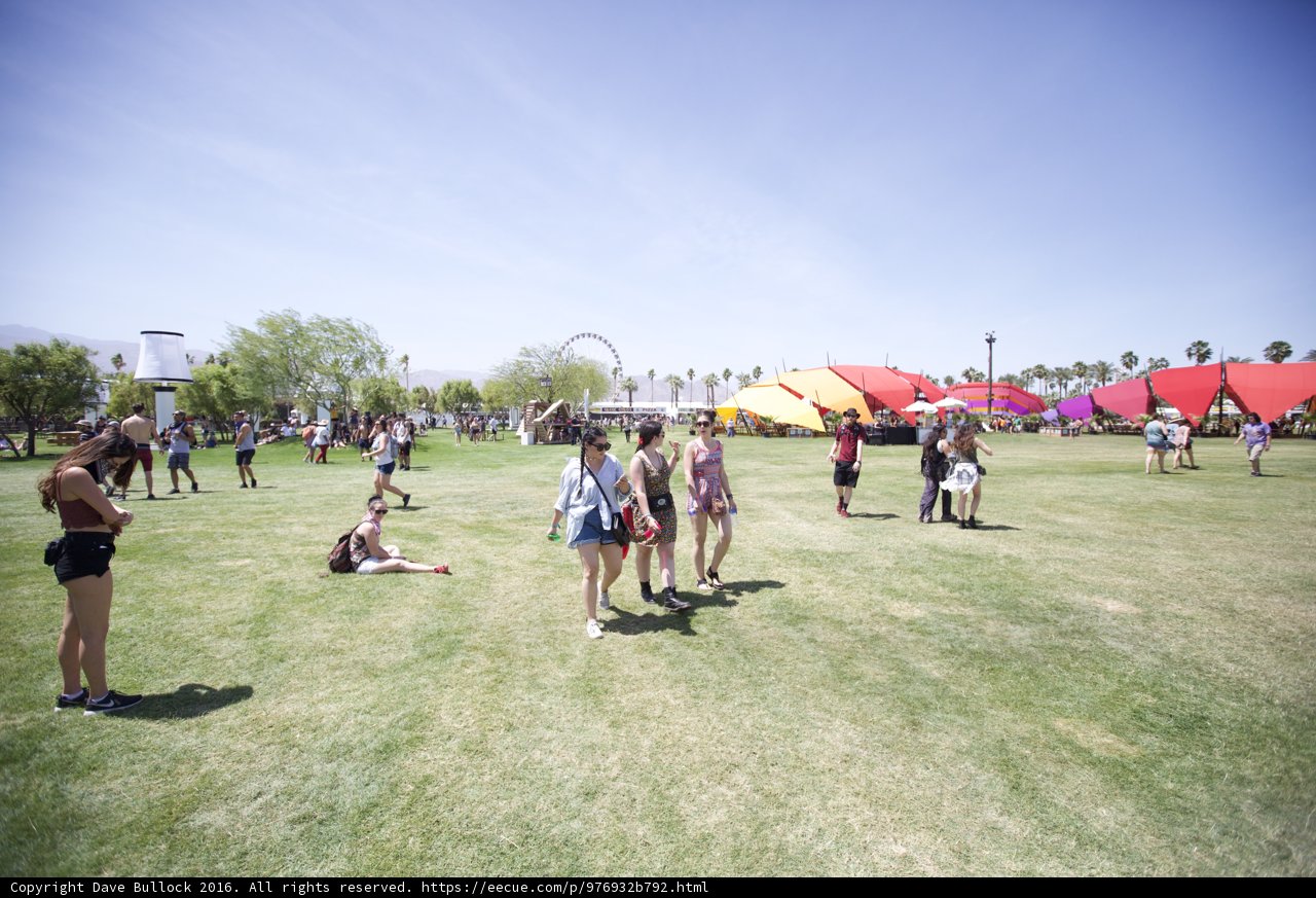 Festival Fun on the Grass