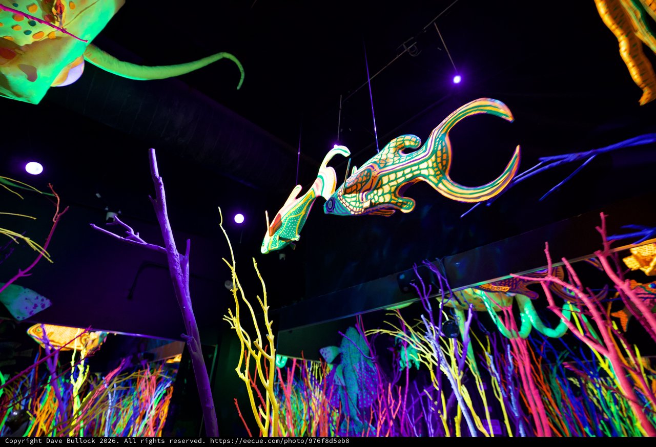 Illuminated Sea Creature at Meow Wolf Installation
