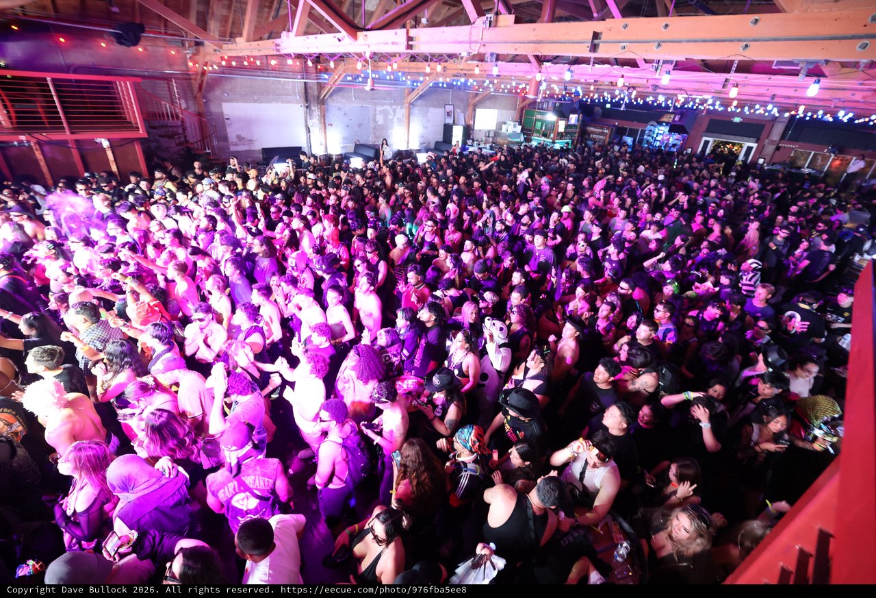 Massive Indoor Crowd Pulsates Under Purple Festival Lights